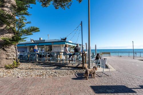 Aqua by the Sea - 1BR, Beachfront, Pool & Gym