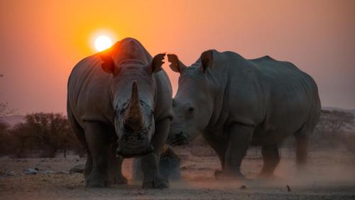 Ugab Game Farm & Lodge Ugab Game Farm & Lodge