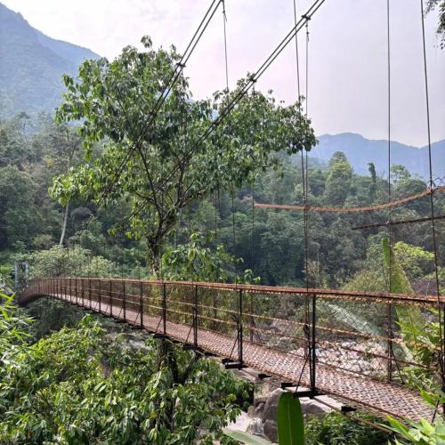 Odyssey Stays Nongriat - 3Kms trek from Main Road - image 2