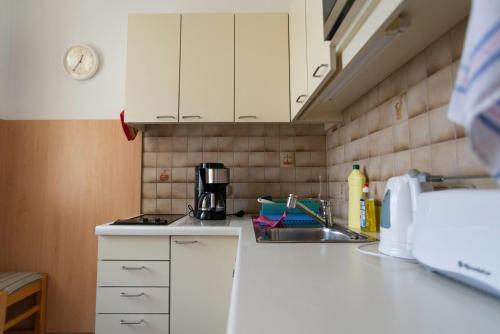 Fleger Appartements, Vídeň (fotografie 10)