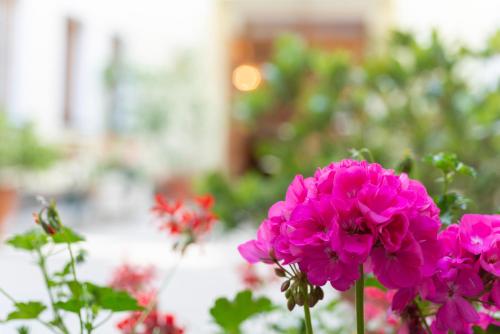 Fleger Appartements - image 8