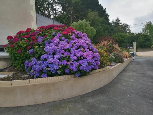 สวน, Maison charmante à Trédaniel avec jardin et terrasse (Maison charmante a Tredaniel avec jardin et terrasse) in เทรดาเนียล