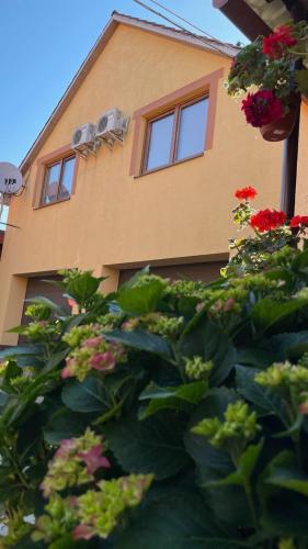 外部景觀, Квітковий двір (Квітковии двір) in 格雷賓尼夫村