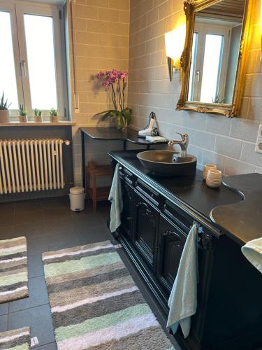 Stilvolle, große Ferienwohnung in der Hallertau, Nähe Pfaffenhofen & Scheyern (Stilvolle, große Ferienwohnung in der Hallertau, Nahe Pfaffenhofen & Scheyern) in Scheyern