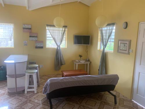 Hilltop Haven Apartment #1 in ลาบอรี