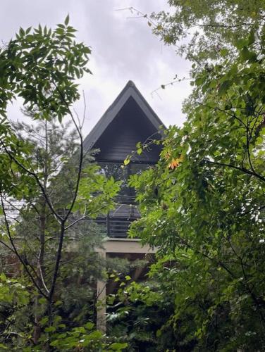 A Frame of Mind in Dahlonega, USA