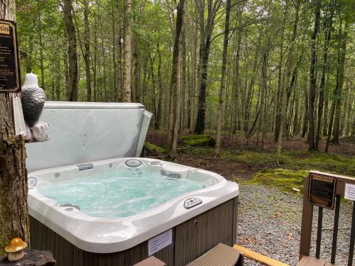 Luxurious Chalet in Arrowhead Lakes Exclusive Community, hammock, firepit, hot tub, pools, lakes, ski in Pocono Lake, USA