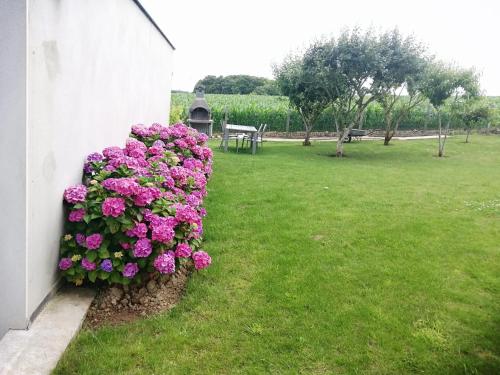 สวน, Maison charmante à Trédaniel avec jardin et terrasse (Maison charmante a Tredaniel avec jardin et terrasse) in เทรดาเนียล