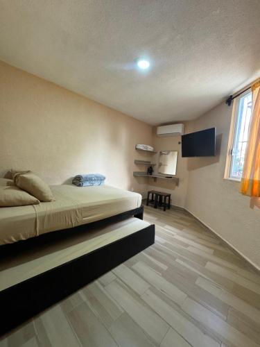 Casa de la orquidia, Cancún (photo 9)