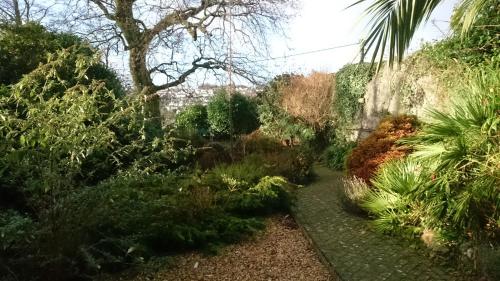 Bankside Bed & Breakfast - image 6