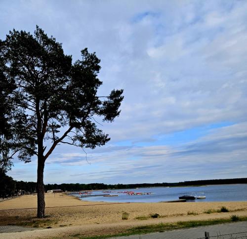 Tuvākā izklaides vieta, Apartament Sielpia DeLuxe in Sielpia Wielka