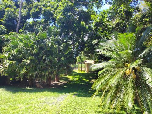 สวน, Beach House with Pool Steps away from the beach in ซาน การ์โลส
