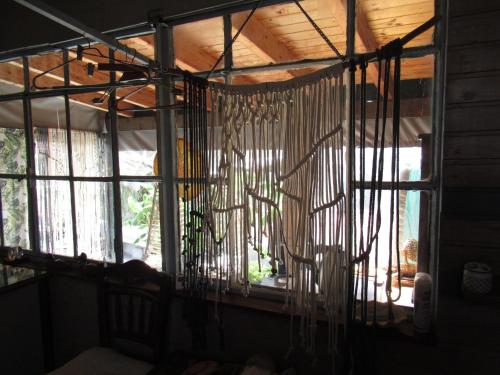 Y House - image 2