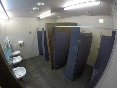 グローバル バックパッカーズ ポーロ ダグラス