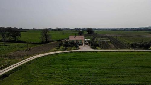 secitrovi, Fano (zdjęcie 9)