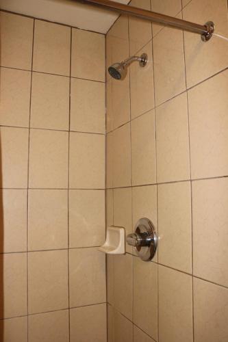Timberline Motel - image 4