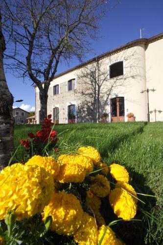 La Rosa Nel Bicchiere