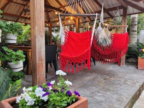 Hostal Hilltop Salento in Salento