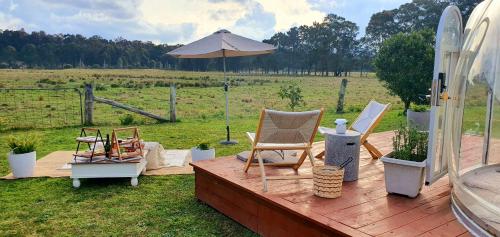 The Hunter Valley Star Gazing BubbleHotel  in Mount Vincent