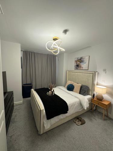 Modern Cozy Rooms Athy in Athy