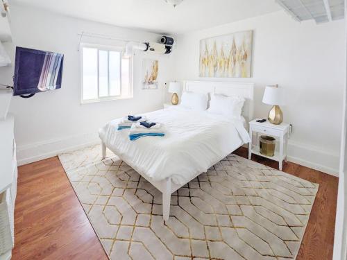 Spacious and charming 1-bedroom apartment on Ocean Beach