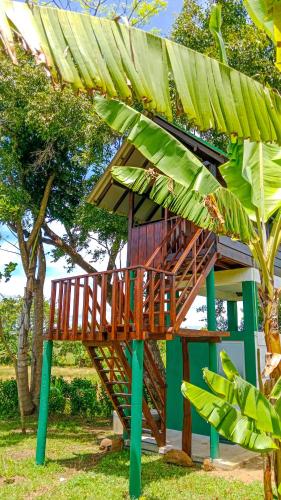 Surrounding environment, Pride Rock Villa & Tree House in Sigiriya