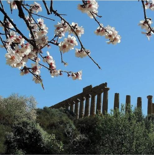 B&B Giunone