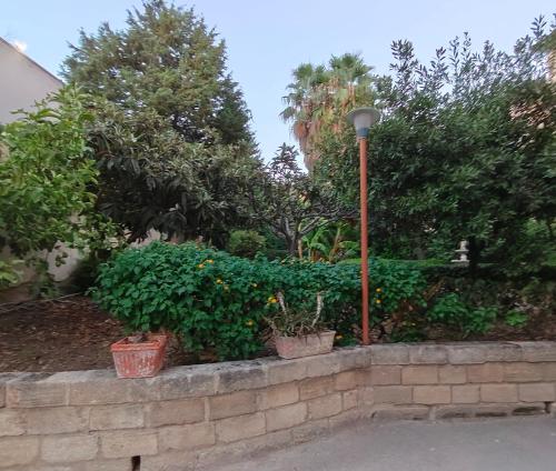 B&B Giunone