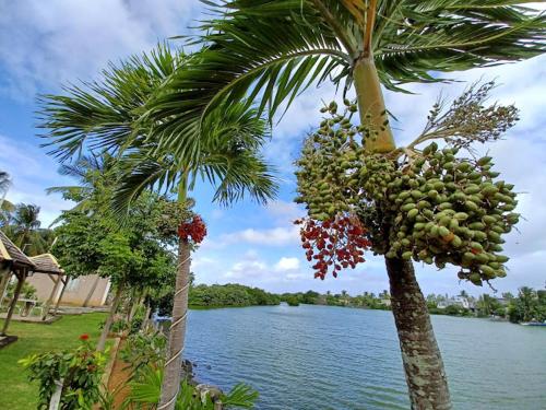 Lakeside Holidays Lakeside Holidays