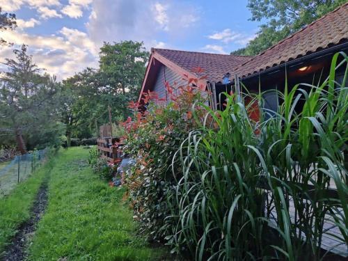 Chalet proche du lac