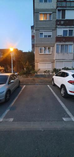 Mimosa Iosia Oradea Mimosa Iosia Oradea