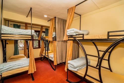 1 bunk bed