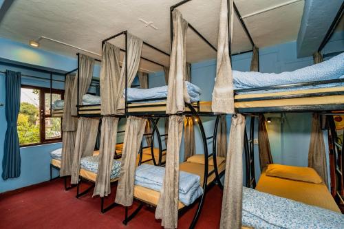 1 bunk bed
