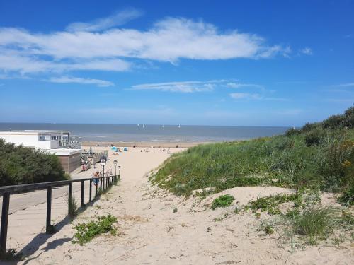 ชายหาด, Lepelblad 1 in นิวฟลิต