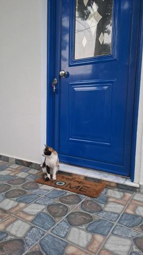 Déjà Blue, Archangelos (fotografie 7)