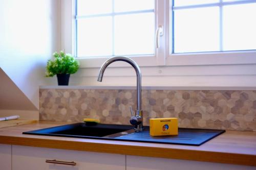 Rouen - Bienvenue chez Ninon in Other