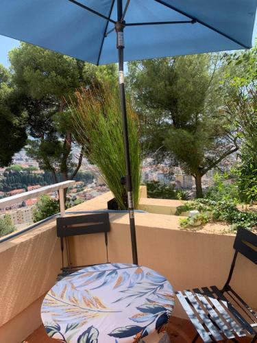 Chambre d hote avec clim terrasse et petit dejeuner Hauteurs de Nice in Saint-Sylvestre