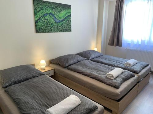 Silver Shine Apartman - Location saisonnière - Debrecen