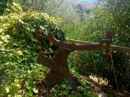 B&B La Risorgiva, Fivizzano (foto 4)