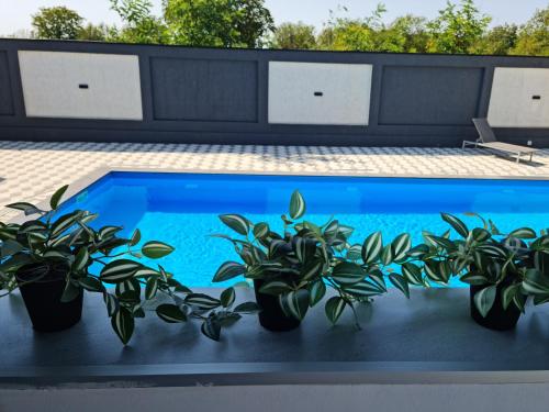 Grey House Grey House