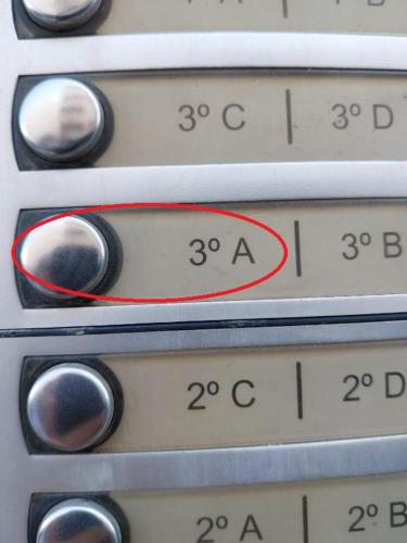 Perla del mar Perla del mar