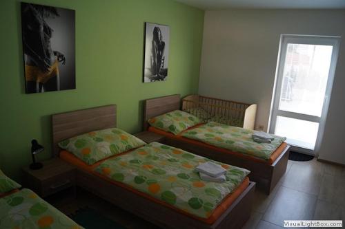 zelený apartmán (zeleny apartman) in Lužice