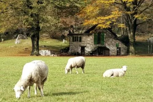 Rustico Lucia in Gordevio, Schweiz