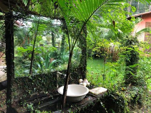 Sítio no Vale das Videiras Sítio no Vale das Videiras