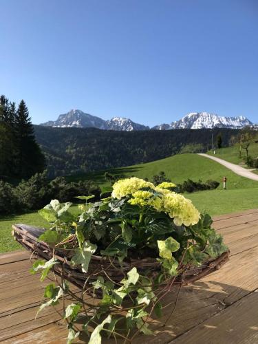 Haus Freynend - Accommodation - Anger