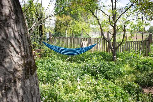花園, Baba Jagina koliba in 卡拉納茨