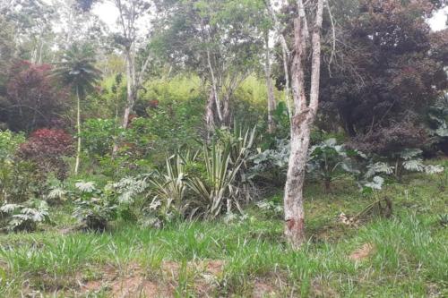 Casa no centrinho do Vale das Videiras Casa no centrinho do Vale das Videiras