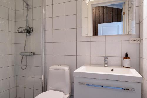 Badkamer, Bitigrenda F in Beitostolen