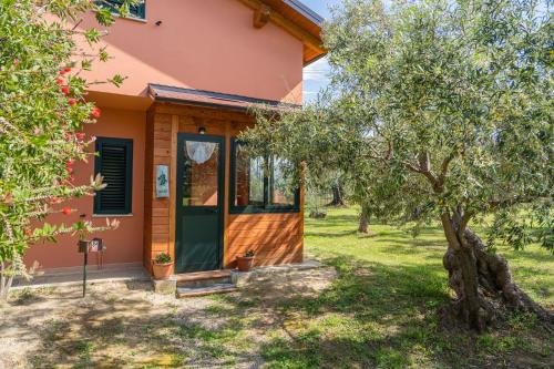 La Piana degli Ulivi - image 7
