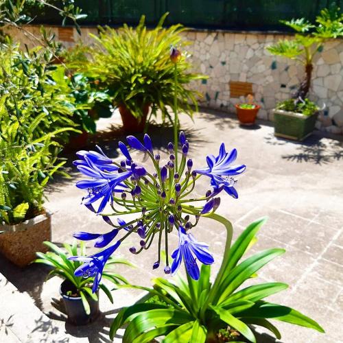 Le Tare B&B - main image